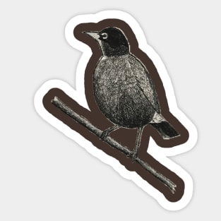 Bird on a branch Sticker